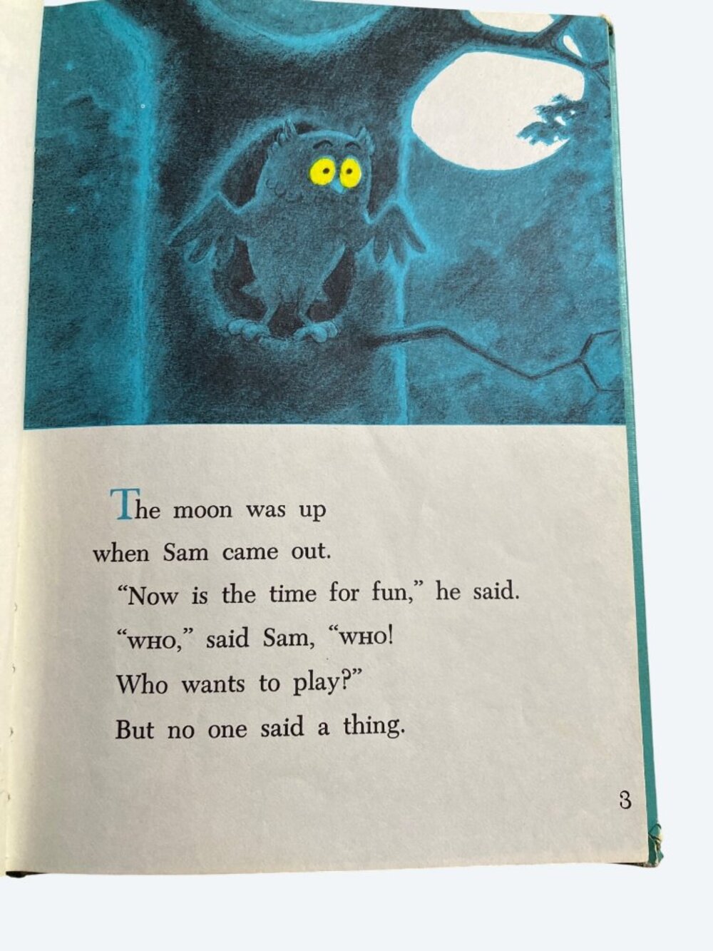 Sam And The Firefly P.D. Eastman 1958 Beginner Books Hardcover Book Club Edition - Picture 12 of 16